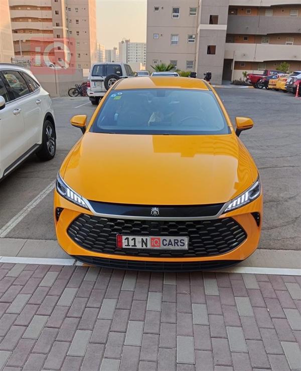 BYD Qin Plus 2025 for sale in Iraq - Baghdad
